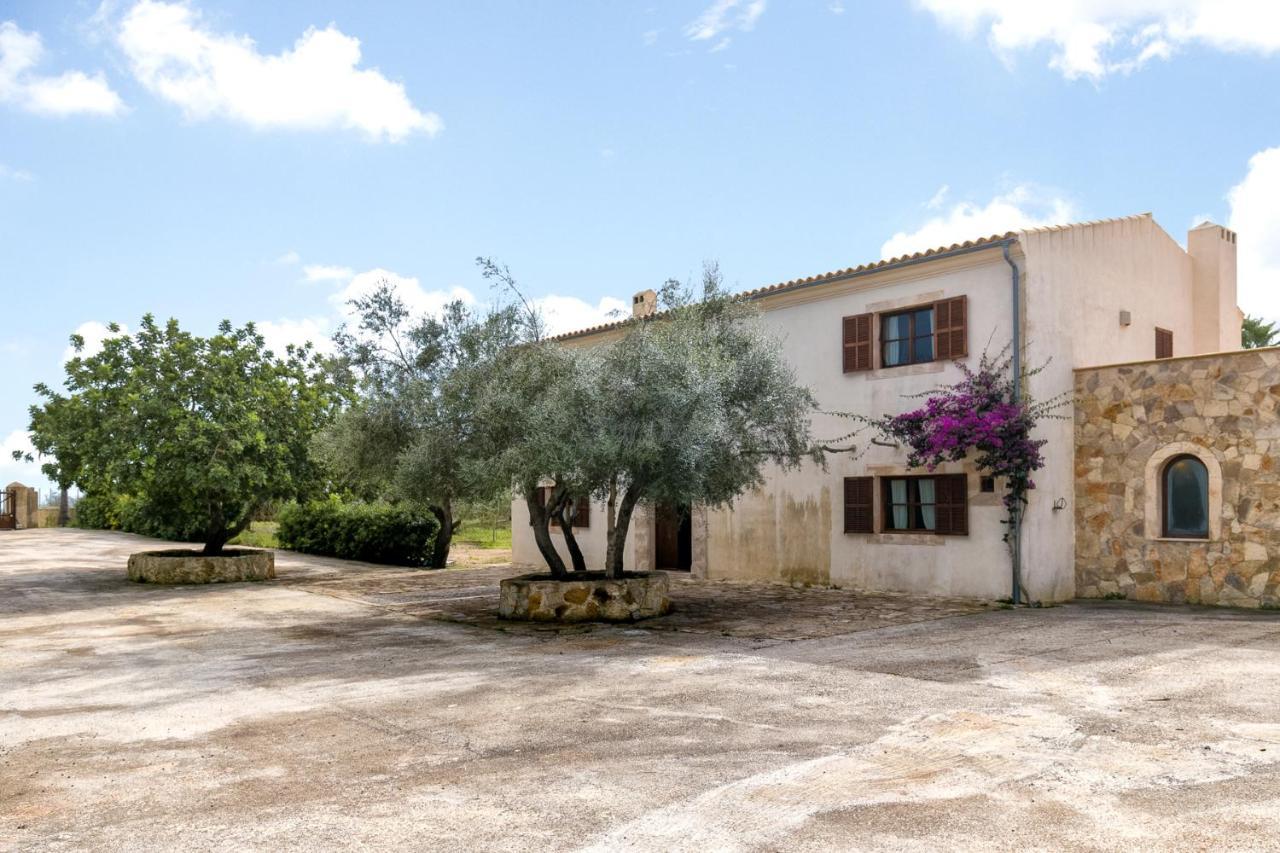Finca Son Sard